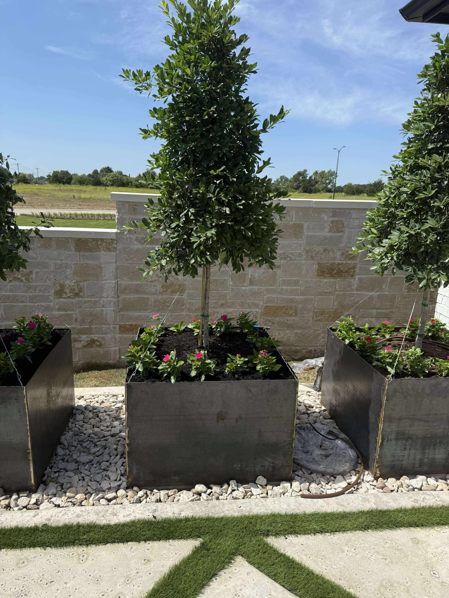 Rectangular steel planters with trees and flowers in residential setting